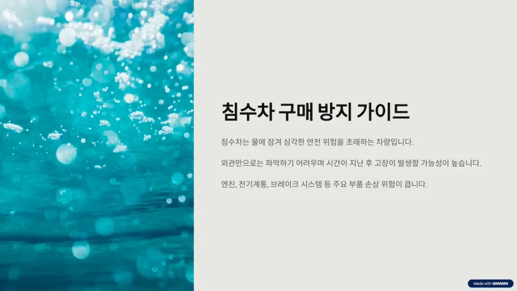 침수차 구매 방지 가이드