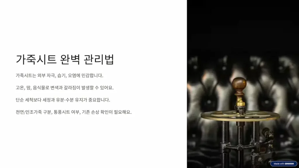 가죽시트 완벽 관리법