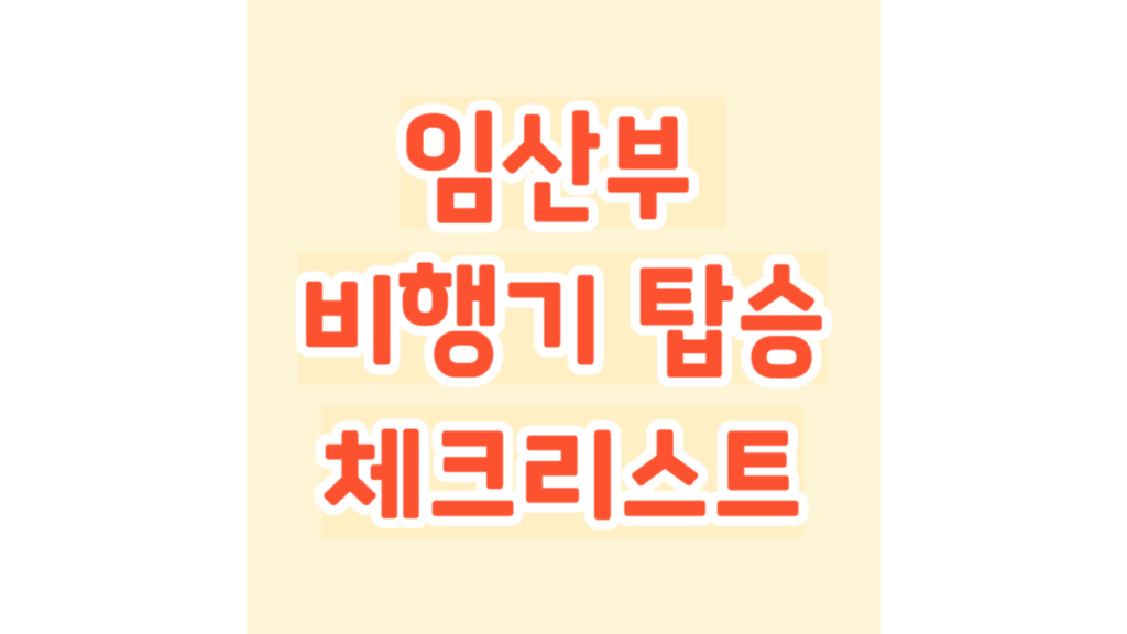 임산부 비행기 탑승 체크리스트