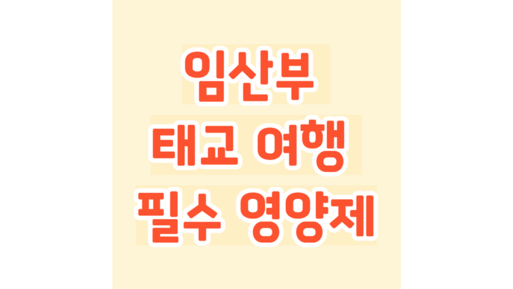 임산부 태교 여행 필수 영양제