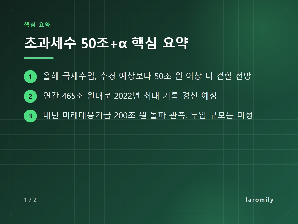 초과세수 50조+α 핵심 요약 — 올해 국세수입, 추경 예상보다 50조 원 이상 더 걷힐 전망 / 연간 465조 원대로 2022년 최대 기록 경신 예상 / 내년 미래대응기금 200조 원 돌파 관측, 투입 규모는 미정